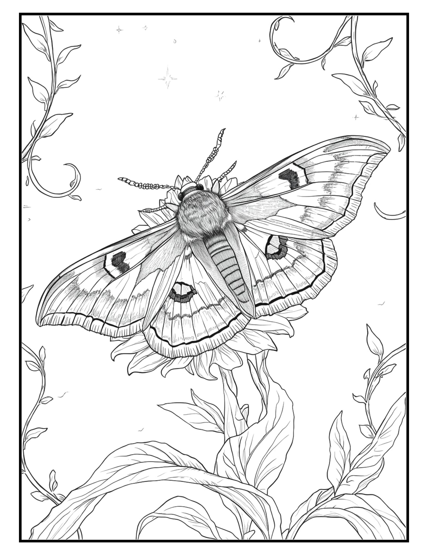 🪲🐞🦋Bugged Out Bliss: A Coloring Journey Through Nature’s Tiny Wonders (Digital PDF Edition) 🐜🐛🕷️